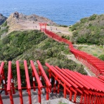 しない・させない・させられない