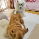 本日のゲスト