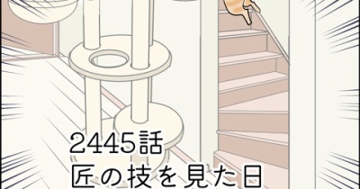 あんこ＆麦2445 匠の技を見た日