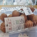 げんきの郷へ　(*ΦωΦ*)にゃー