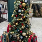 テルミーのブログ(沖縄のサックス奏者)