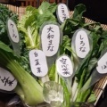 ２０２５年７月１７日（木）奈良市／居酒屋／とよのあかりすずの音（地酒万歳）