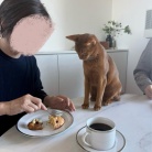 猫たち、Tちゃんをすっかり家族と思ってるような…