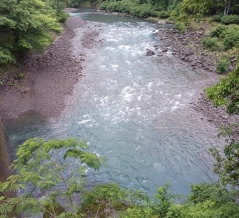 ☔雨で釣り師は少ない