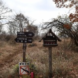 『湯ノ沢峠から牛奥の雁ヶ腹摺山と大蔵高丸をピストン　-小金沢連嶺大好き-』の画像