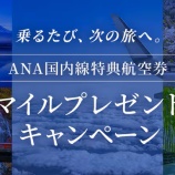『ANA、国内線特典航空券利用で最大5000マイルプレゼント!6~7月搭乗分が対象』の画像
