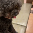 社長ほど面白い仕事はない。