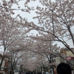 がんと共に生きる！ブログ　肺がんオヤジと愉快な仲間たちのPRIDEそれは生きること！