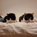 かすれるペン、再び。