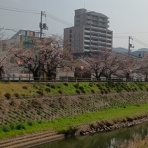  50代★音と性と自由♪