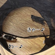 巣立ちの歌☆栄光