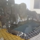 鄙びた日帰り湯治名湯の温泉センター諏訪ノ湯