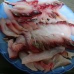 ガタンチュつぁっつぁ