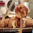 いつもと違ったパリへ