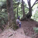 麻布山（7/25）