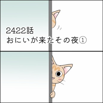 あんこ＆麦2422 おにいが来たその夜①