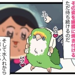 えるポピ・ハッピーオタクライフ