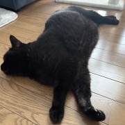 まだまだ若々しいスミちゃん