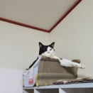 僕も本当は…🐾