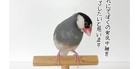 ブンチョ日誌 Powered by ライブドアブログ