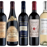 『【新商品】イタリア・ヴェネト州「トンマージ」新発売』の画像