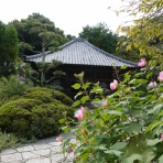 「藍川京」の部屋