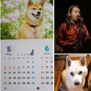5月のライブスケジュール