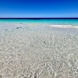 『大海意識』の画像