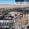 【速報】エプスタイン事件の少女の遺体が埋められた牧場の捜索が開始される