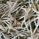 義母のトラブルと実親とのトラブル