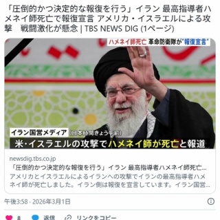 痛いニュース(ﾉ∀`)