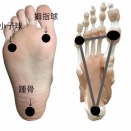 土踏まずはなぜ浮いているのか〜人間だけが持つ“足裏のバネ