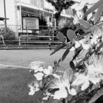 ＝佐藤太の監督雑記＝