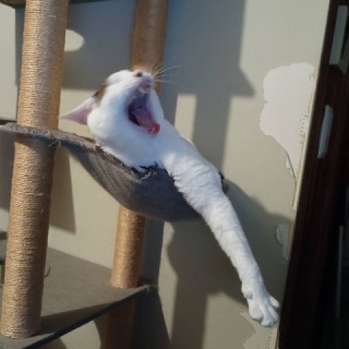 moroのハンドメイド