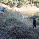 五日会　荒合上、飛山草刈り