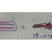 ホームステイしていた時の日記から③オハイオリーバーと芝刈り