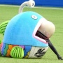 千葉ロッテマリーンズの『謎の魚』さん、引退「体力の限界からユニホームを脱ぐことを決意しました」