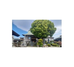 2026年5月のご首題はなし