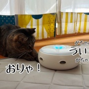 怖いもの知らずの怖いもの。