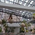 生活のたのしみ展2026in三角広場
