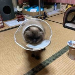 やーこばなし