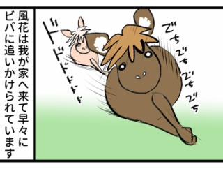 欲望の赴くままの風花