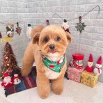 ゆうなぎ動物病院