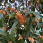 MUSIC MAKES US HAPPY!