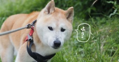 貫太も「頑張ってるね」と声をかけられるようになりました