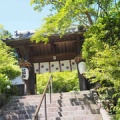 「修学旅行は忙しすぎた」という君へ