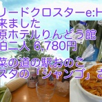 チャリノボ日記
