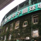 好きなプロ野球の球場