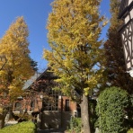 明治学院大学法学部 公式ブログ