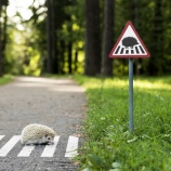 『道路標識』の画像